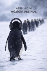 Bluetooth Kulaklık Kulak Üstü Kablosuz Kulaklık HD50 Siyah