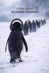 Bluetooth Kulaklık Kulak Üstü Kablosuz Kulaklık HD50 Siyah