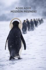 Bluetooth Kulaklık Kulak Üstü Kablosuz Kulaklık HD50 Bej