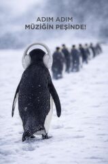 Bluetooth Kulaklık Kulak Üstü Kablosuz Kulaklık HD50 Gri