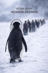 Bluetooth Kulaklık Kulak Üstü Kablosuz Kulaklık HD50 Gri