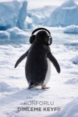 Bluetooth Kulaklık Kulak Üstü Kablosuz Kulaklık HD70 Siyah