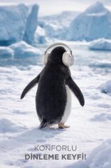 Bluetooth Kulaklık Kulak Üstü Kablosuz Kulaklık HD70 Bej