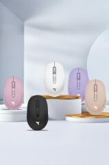 Mouse Çift Modlu Sessiz Kablosuz Fare TM17 Beyaz