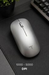 Mouse Çift Modlu Sessiz Kablosuz Fare TM19 Gümüş