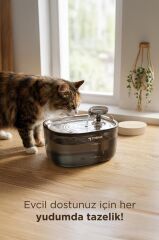 Kedi Köpek Su Pınarı Otomatik Filtreli Ultra Sessiz Su Çeşmesi TPD01 Siyah