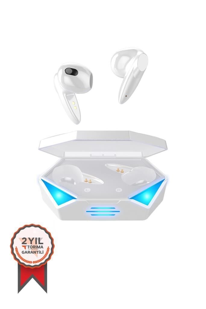 Torima TG-G20 Kablosuz Oyuncu Kulaklığı Rgb ışıklı ve Çift mikrofonlu