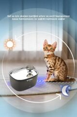 Kedi Köpek Su Pınarı Otomatik Filtreli Ultra Sessiz Su Çeşmesi TPD01 Siyah