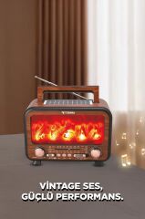 Bluetooth Hoparlör Nostaljik Solar Panelli Speaker D72 Açık Kahve