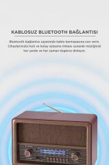 Bluetooth Hoparlör Nostaljik Radyo Uzaktan Kumandalı TWS USB TF Destekli Speaker D56 Kahverengi