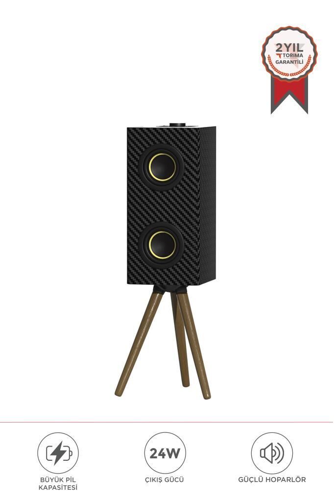 Kablosuz Hoparlör 24W 3000mAh Taşınabilir Ayaklı Speaker D67 Siyah
