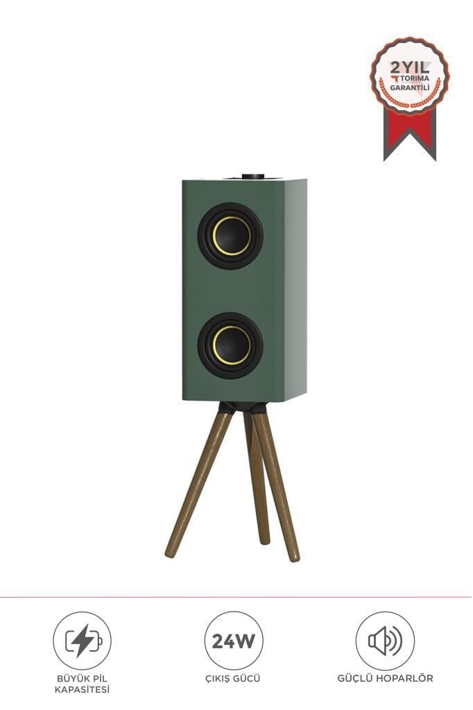 Kablosuz Hoparlör 24W 3000mAh Taşınabilir Ayaklı Speaker D67 Yeşil