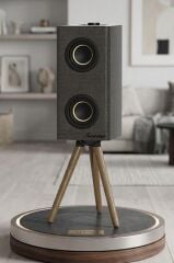 Kablosuz Hoparlör 24W 3000mAh Taşınabilir Ayaklı Speaker D67 Gri