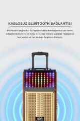 Bluetooth Hoparlör Mikrofonlu Kumandalı Rgb Işıklı Speaker NDR-108R Turuncu