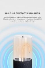 Bluetooth Hoparlör Manyetik Işıklı TWS 5.3 Speaker D40 Siyah
