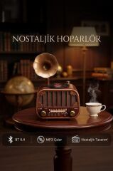 Bluetooh Hoparlör Nostaljik Radyo AUX USB TF Destekli Speaker D76 Ahşap