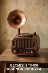 Bluetooh Hoparlör Nostaljik Radyo AUX USB TF Destekli Speaker D76 Ahşap