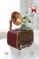 Bluetooh Hoparlör Nostaljik Radyo AUX USB TF Destekli Speaker D76 Koyu Kahve