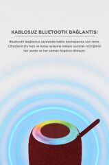 Bluetooth Hoparlör Rgb Işıklı USB FM Destekli Radyo D10 Kırmızı