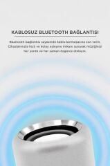 Bluetooth Hoparlör Taşınabilir Speaker D12 Gümüş